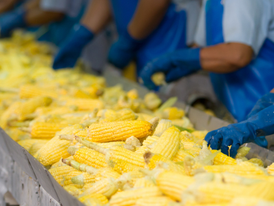 Food processing Industry in 2025-26