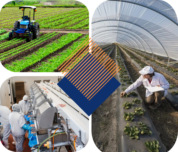 Agriculture, F&B & Food ProcessingEnergy and envoirment Doing business in India Growing Sectors
