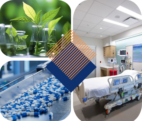 Overview of India's Healthcare and Pharmaceuticals Sector in India