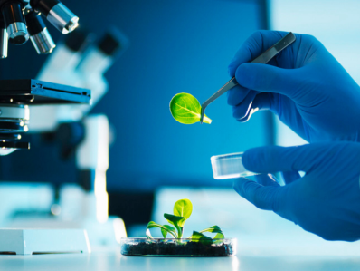 Digital Health, Pharmaceuticals & Biotech Opportunities in India